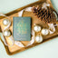 The Gift of Jesus: Meditations for Christmas