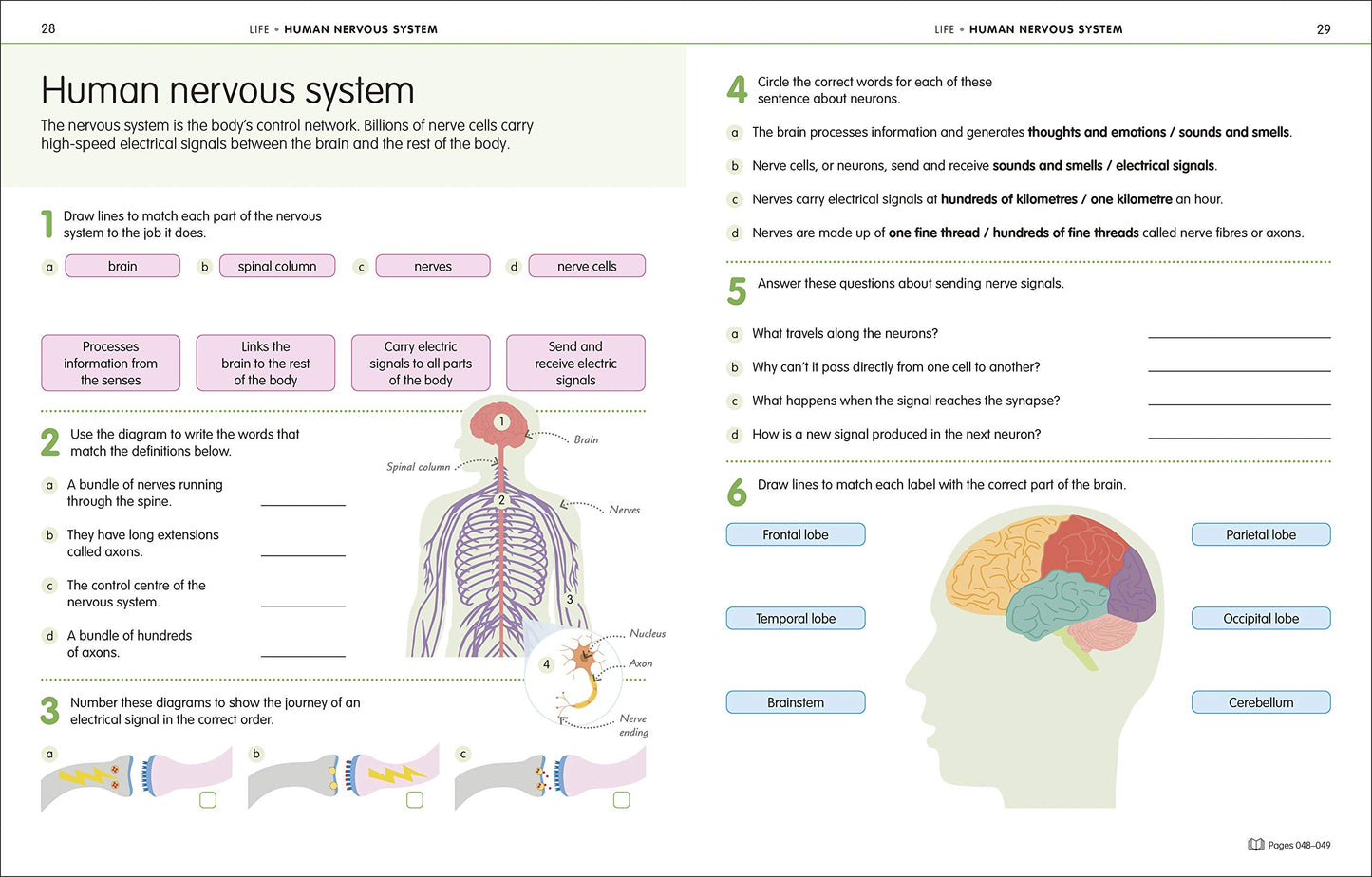 How to Be Good at Science, Technology and Engineering Workbook, Grade 6-8