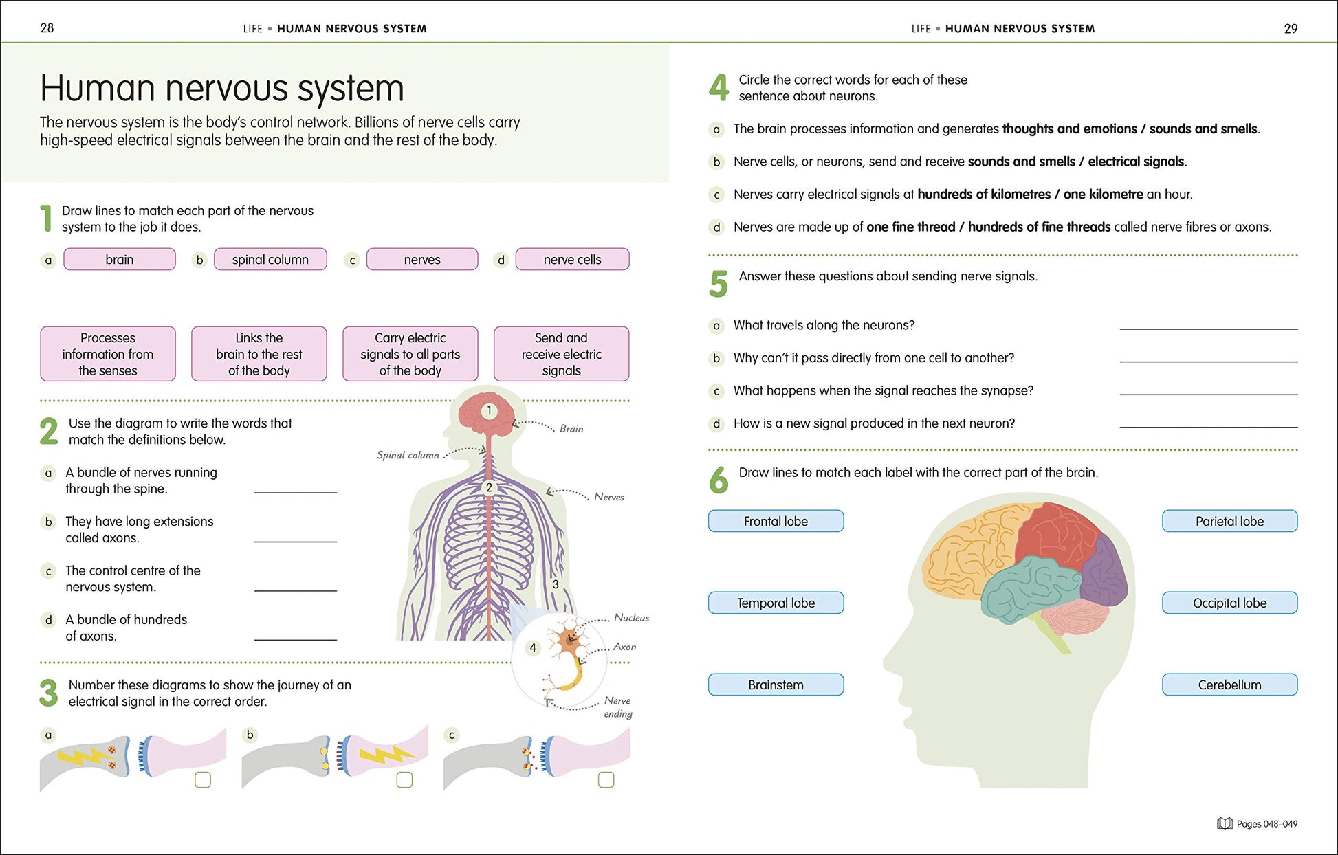 How to Be Good at Science, Technology and Engineering Workbook, Grade 6-8