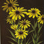 Painting Fabulous Flowers with Donna Dewberry