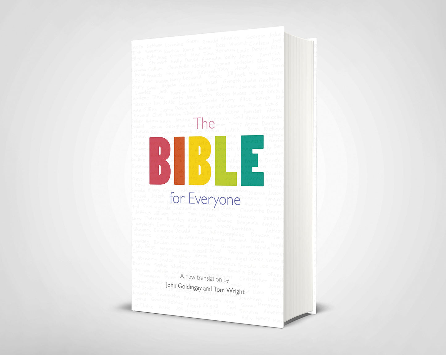 The Bible for Everyone by John E. Goldingay