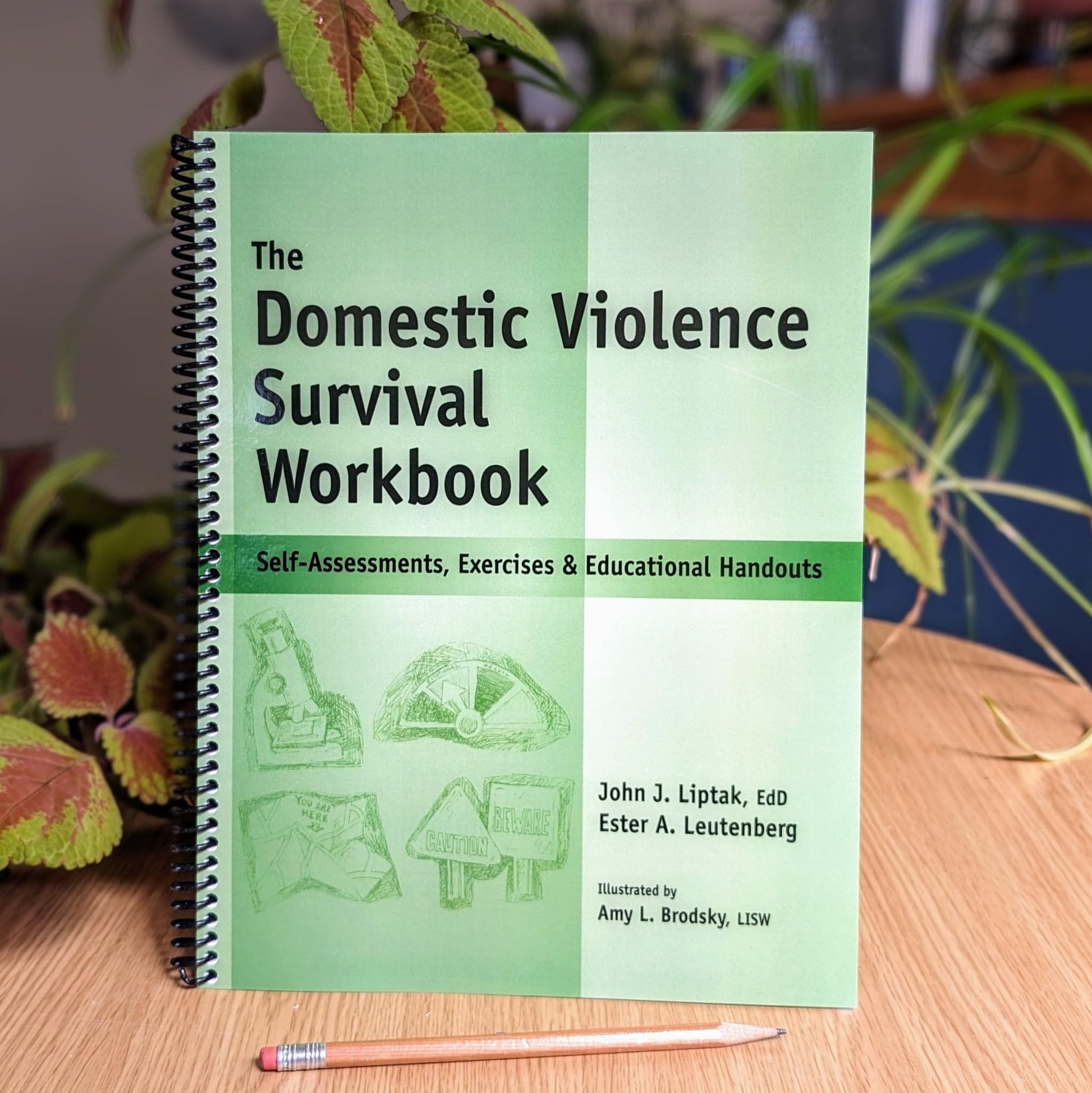 The Domestic Violence Survival Workbook - Self-Assessments, Exercises & Educational Handouts (Mental Health & Life Skills Workbook Series)