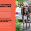 100 Animals That Can F*cking End You