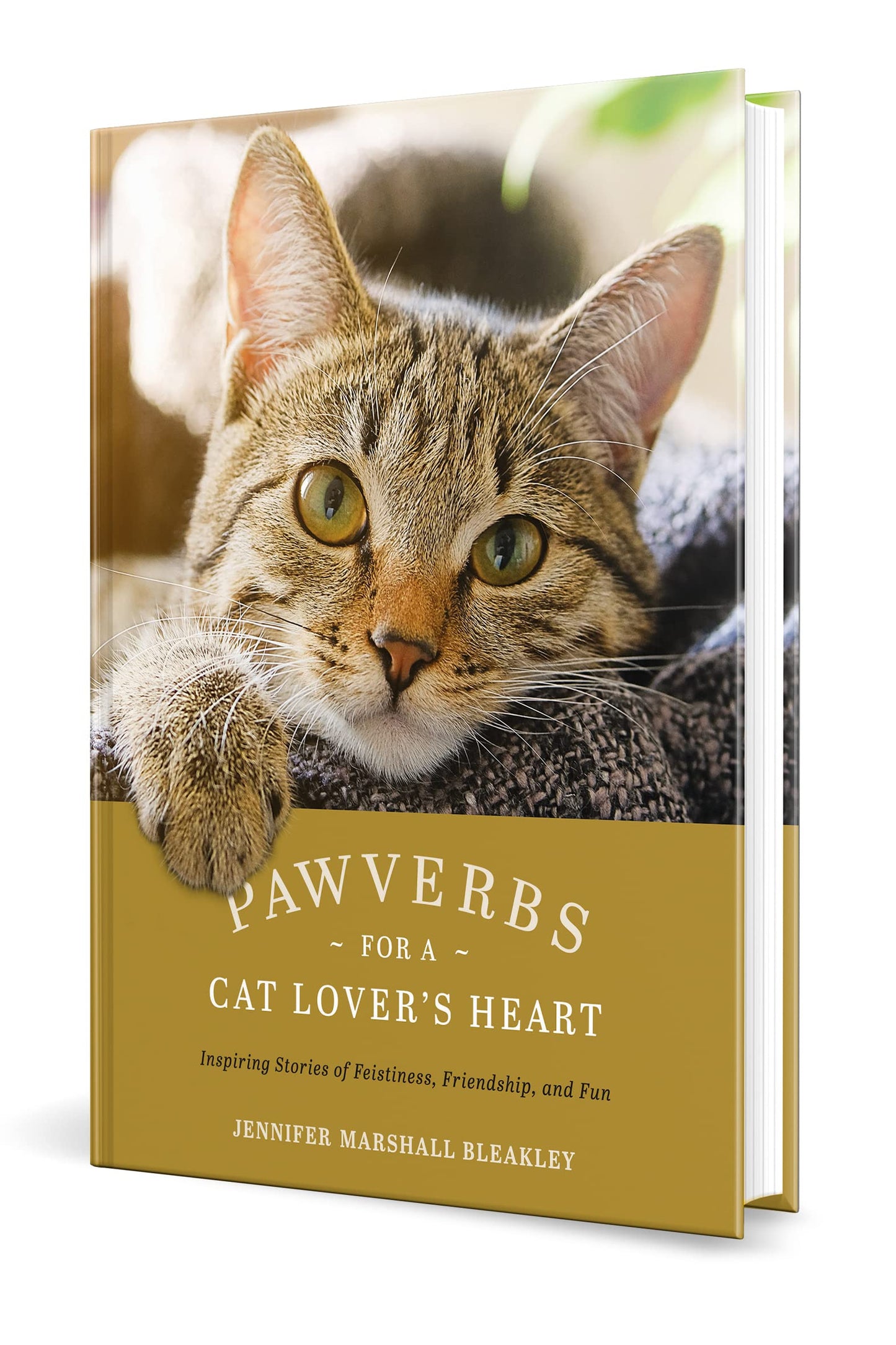 Pawverbs for a Cat Lover's Heart: Inspiring Stories of Feistiness, Friendship, and Fun