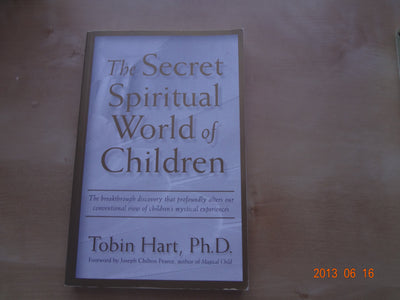 The Secret Spiritual World of Children: The Breakthrough Discovery that Profoundly Alters Our Conventional View of Children's Mystical Experiences