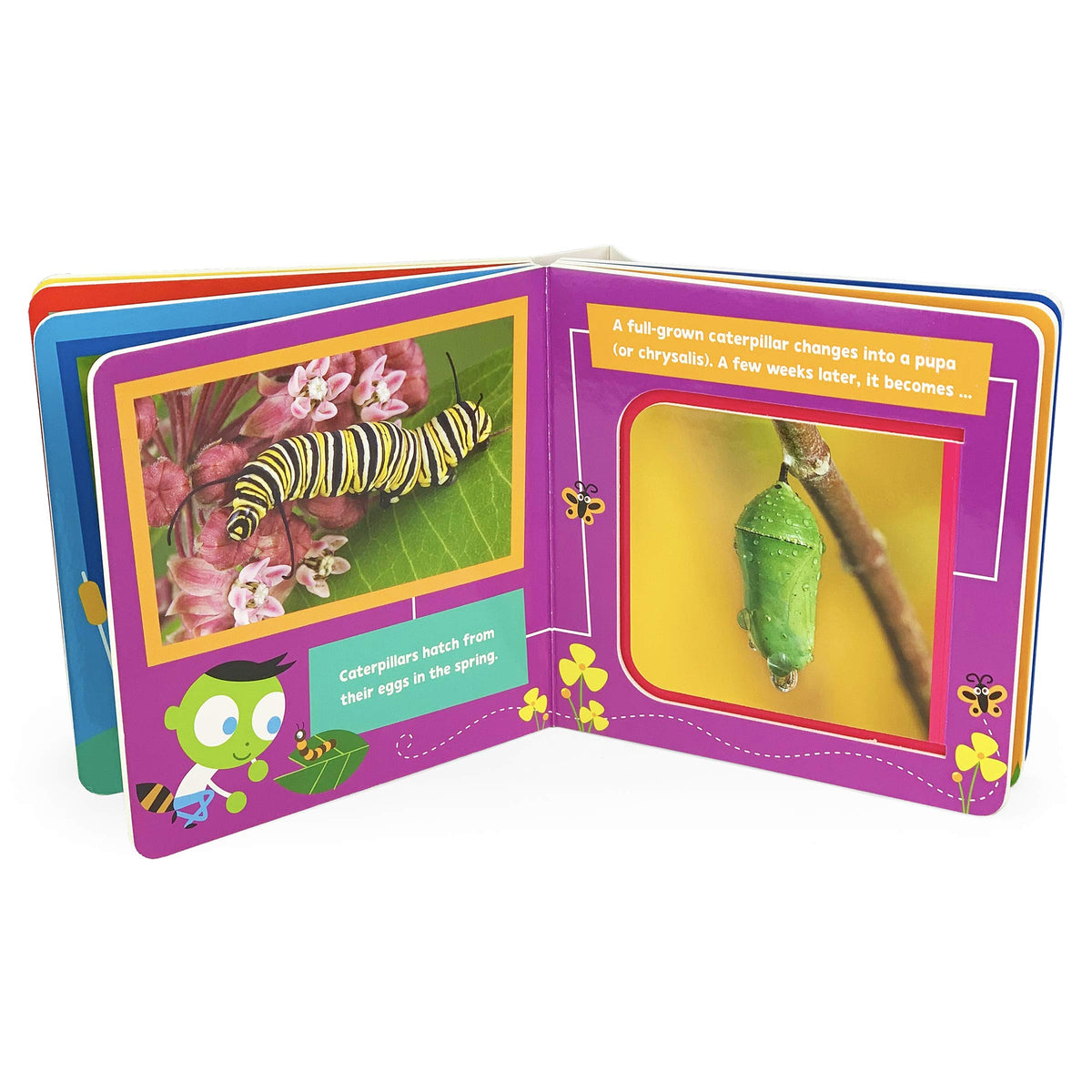 Bugs and Insects! A PBS Kids Lift-a-Flap Board Book for Babies and Toddlers, Ages 1-4 (Pbs Kids Chunky Lift-a-flap Board Book)
