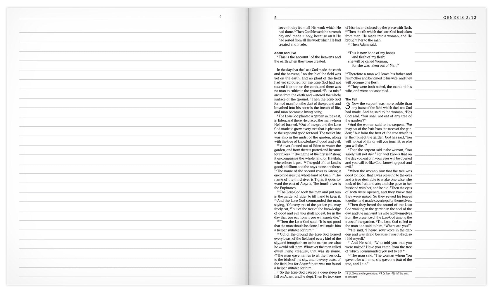 The MEV Promises of God Creative Journaling Bible: Modern English Version