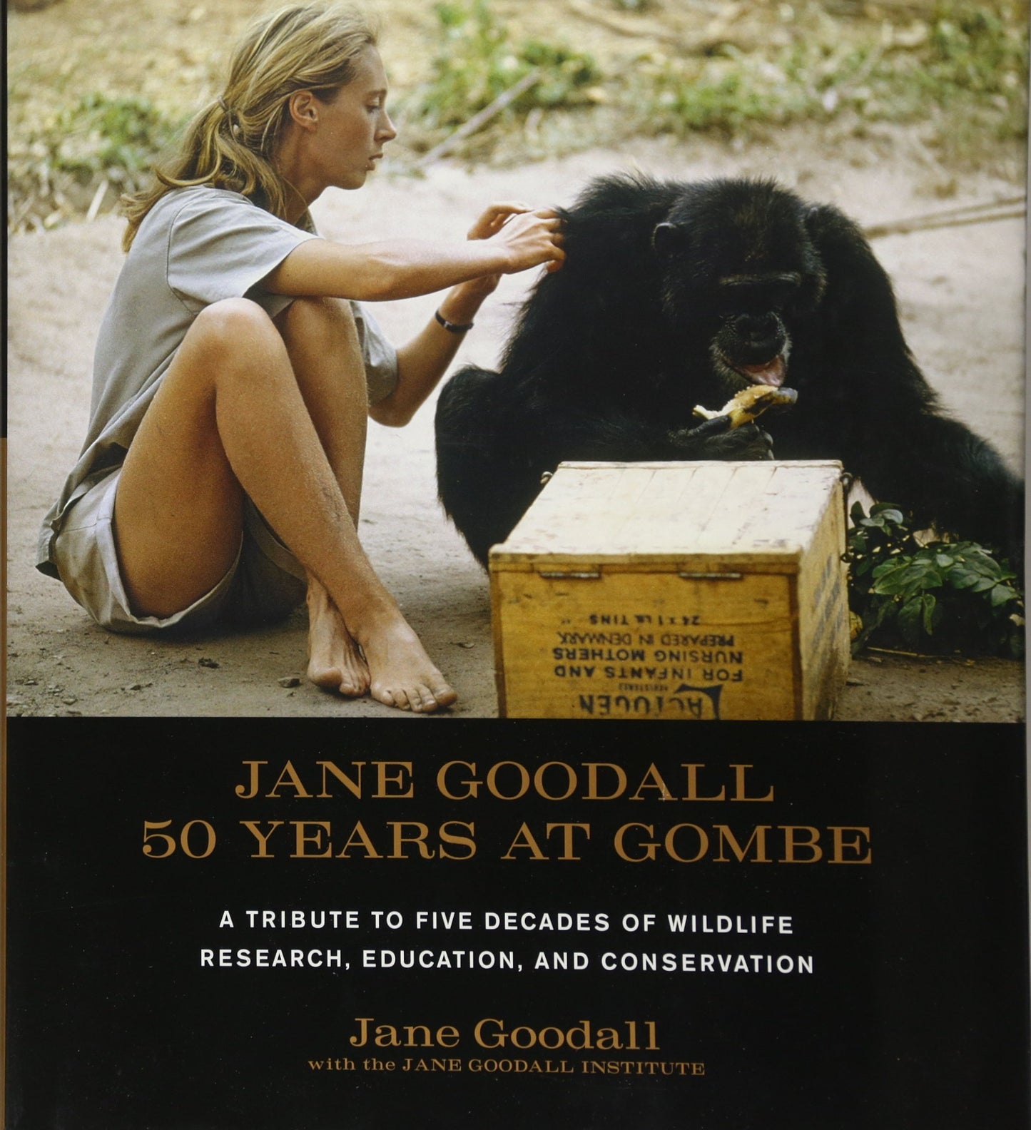 Jane Goodall: 50 Years at Gombe by Jane Goodall