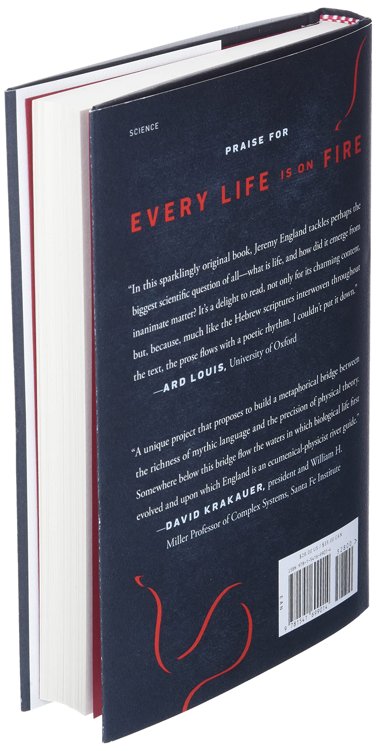 Every Life Is on Fire: How Thermodynamics Explains the Origins of Living Things