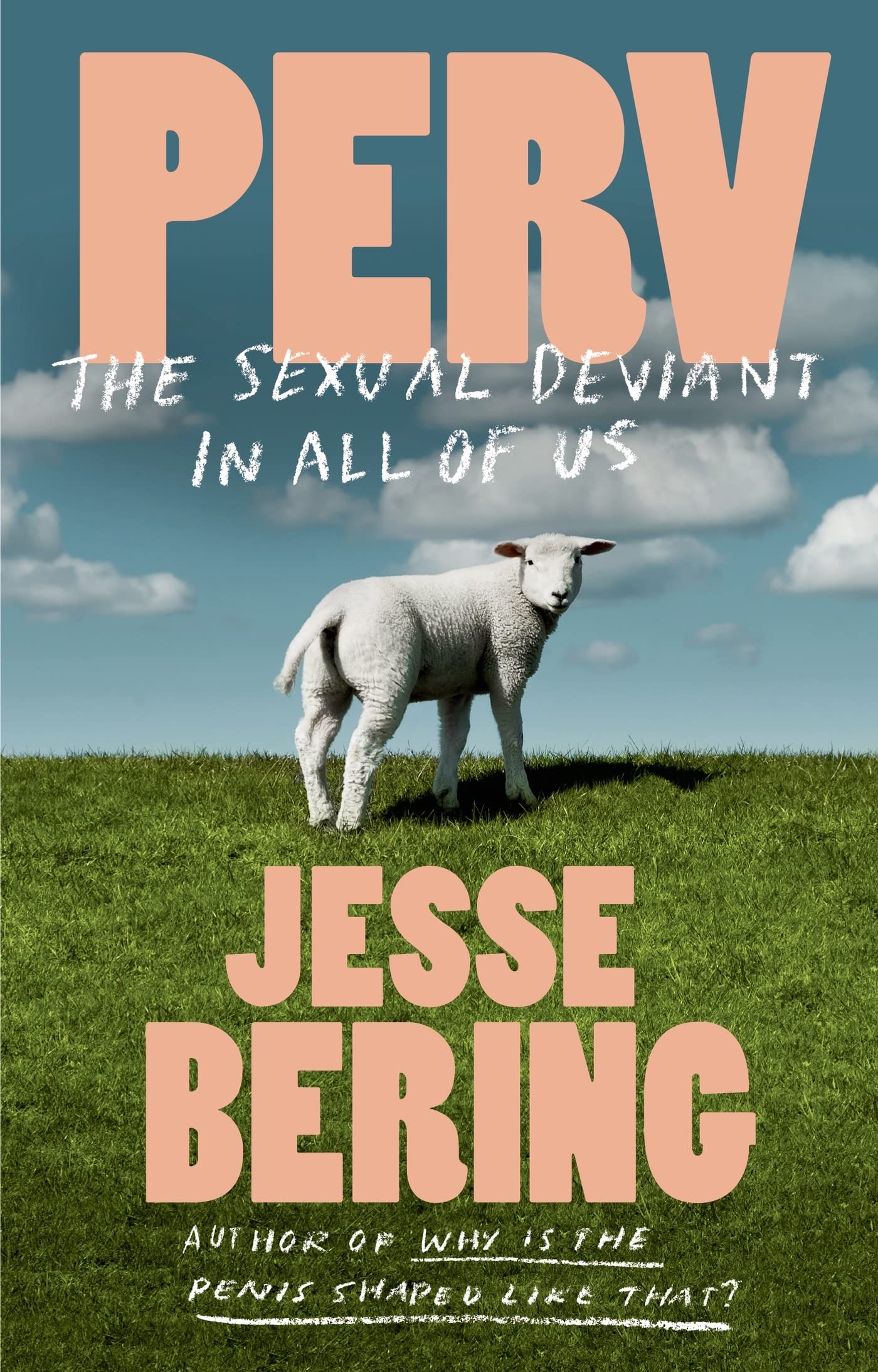 Perv: The Sexual Deviant in All of Us by Bering, Jesse