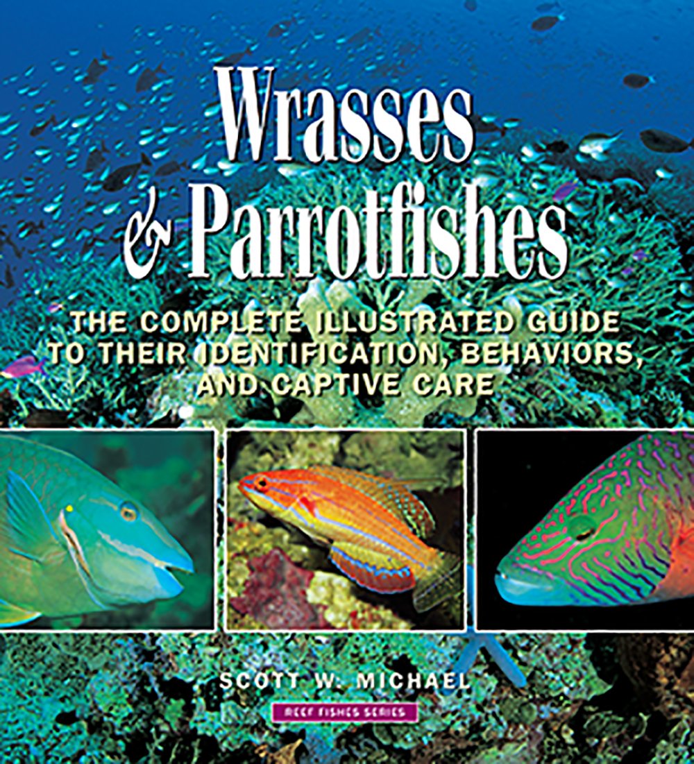 Wrasses & Parrotfishes: The Complete Illustrated Guide