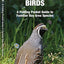San Francisco Birds: A Folding Pocket Guide to Familiar Bay Area Species (Wildlife and Nature Identification)