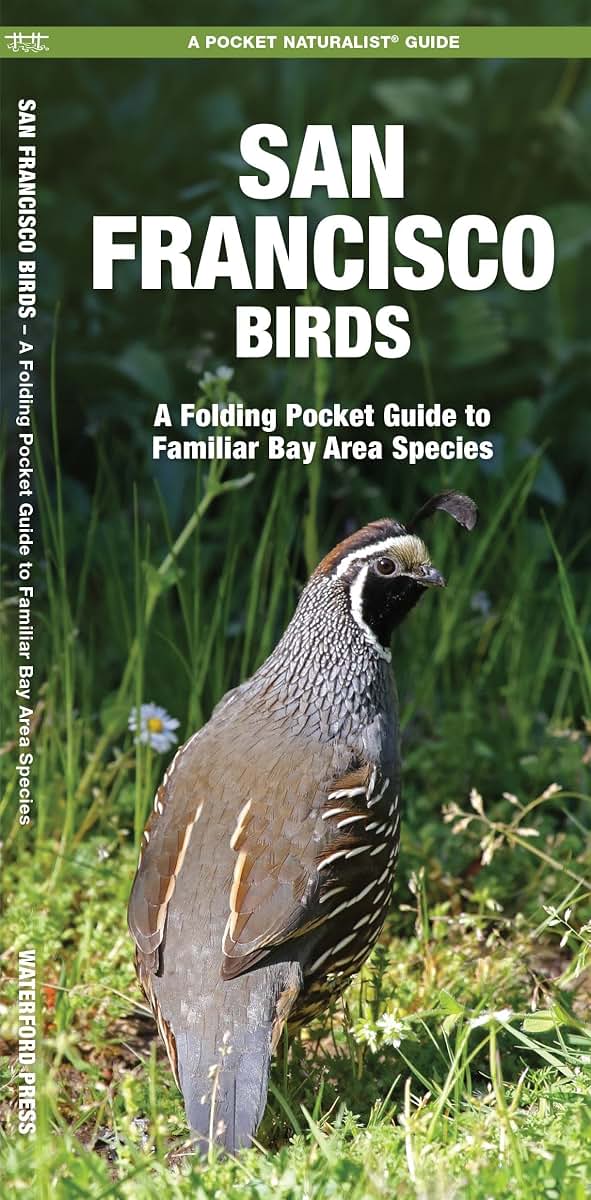 San Francisco Birds: A Folding Pocket Guide to Familiar Bay Area Species (Wildlife and Nature Identification)