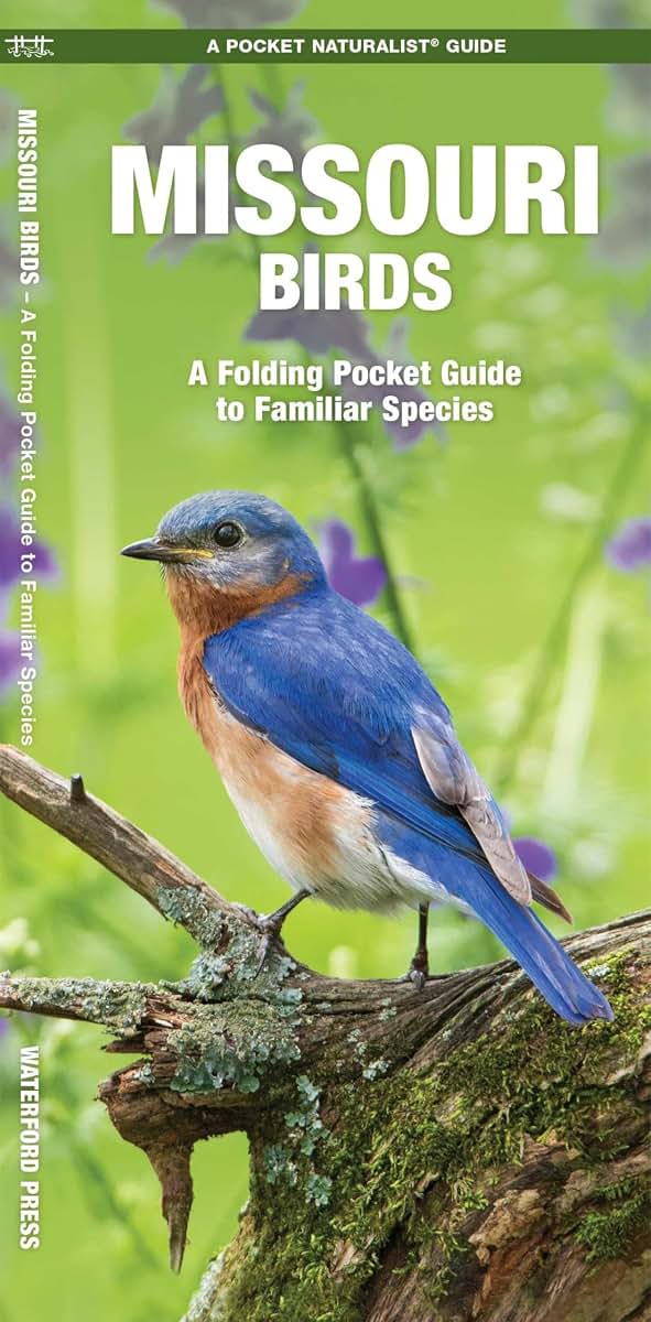 Missouri Birds: A Folding Pocket Guide to Familiar Species (Nature Observation North America)
