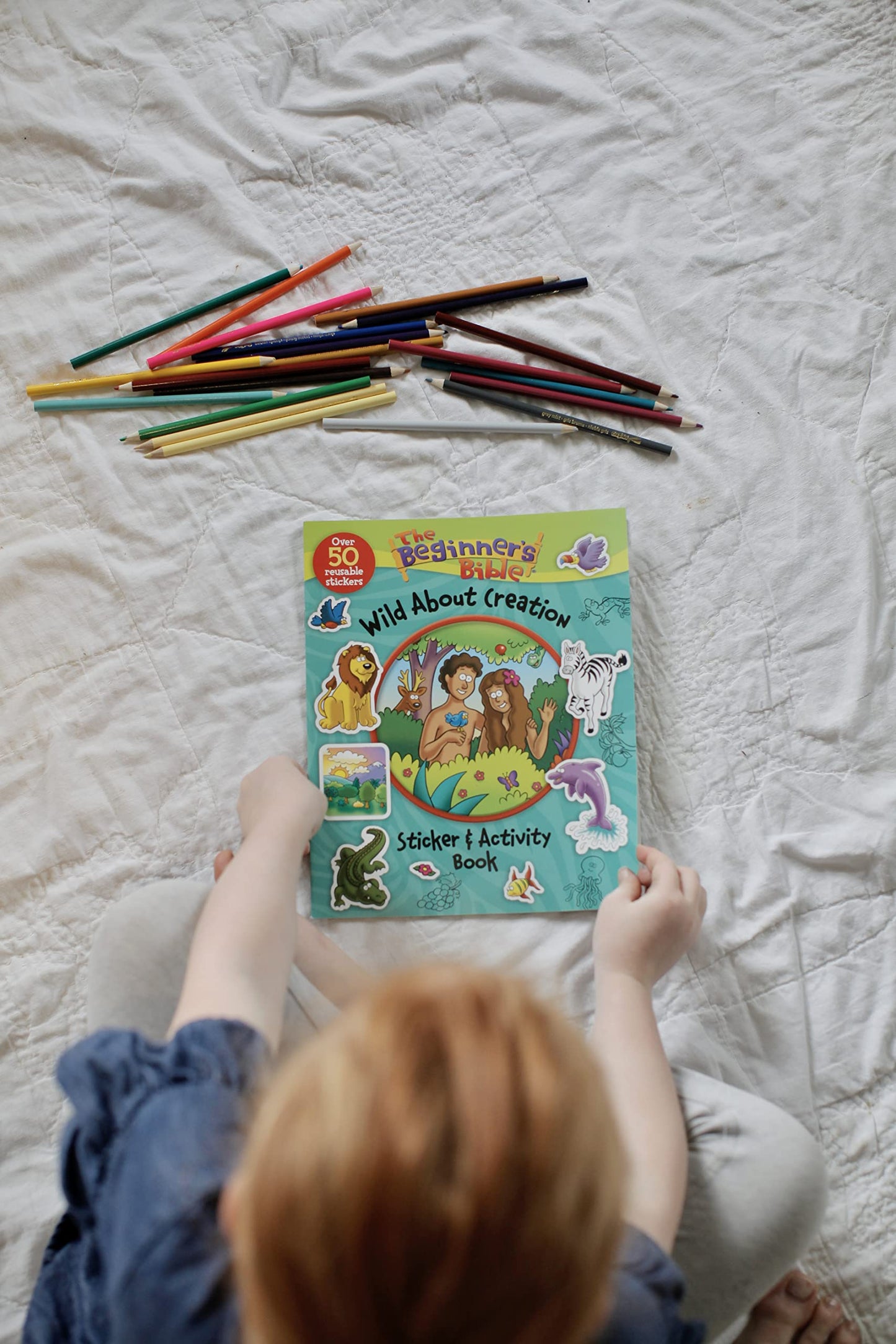The Beginner's Bible Wild About Creation Sticker and Activity Book