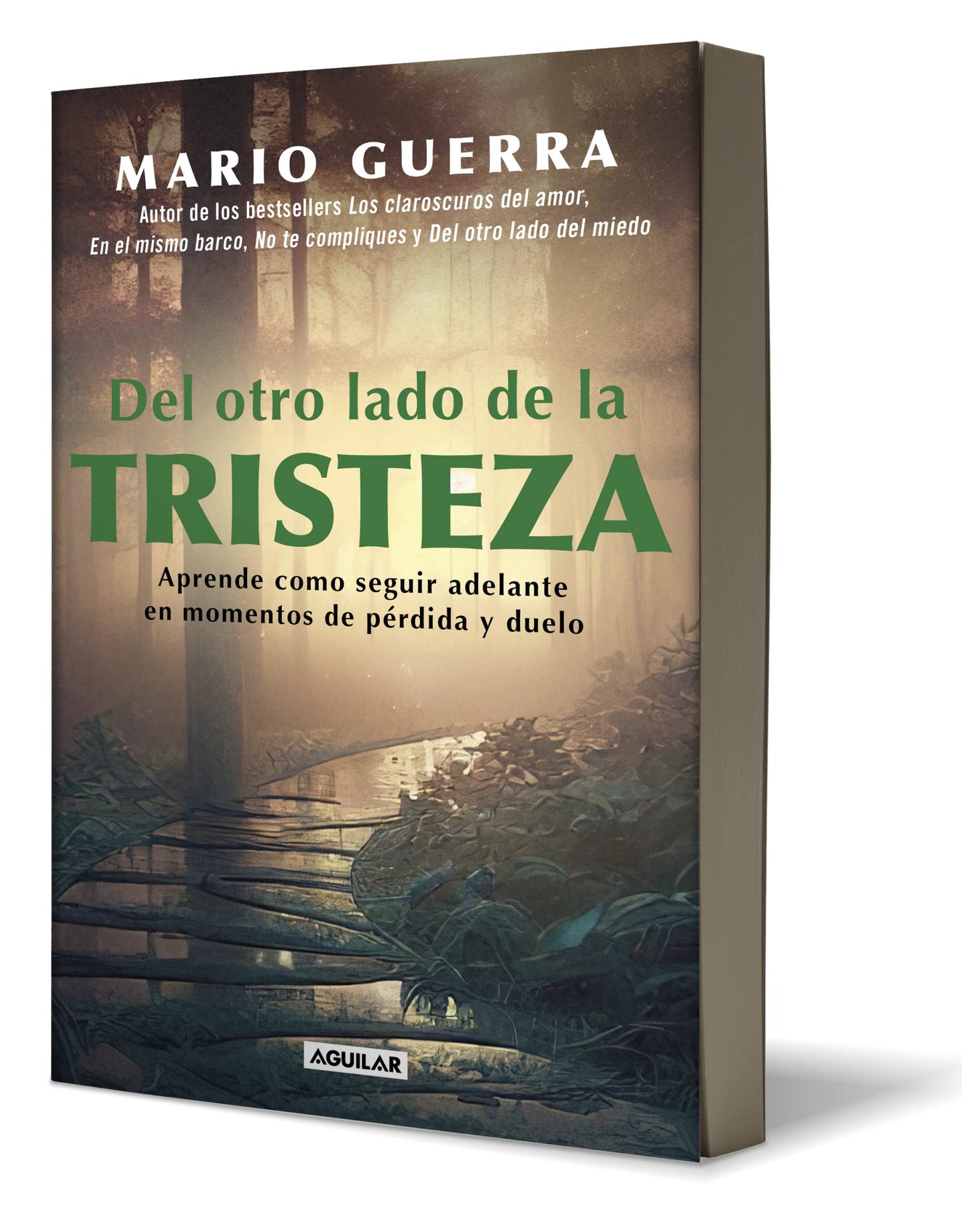 Del otro lado de la tristeza. Aprende como seguir adelante en momentos de prdid a y duelo / On the Other Side of Sadness. Learn How to Move on in Times of Los (Spanish Edition)