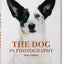 The Dog in Photography / Der Hund In Der Fotografie / Le Chien Dans La Photographie: 1839-today