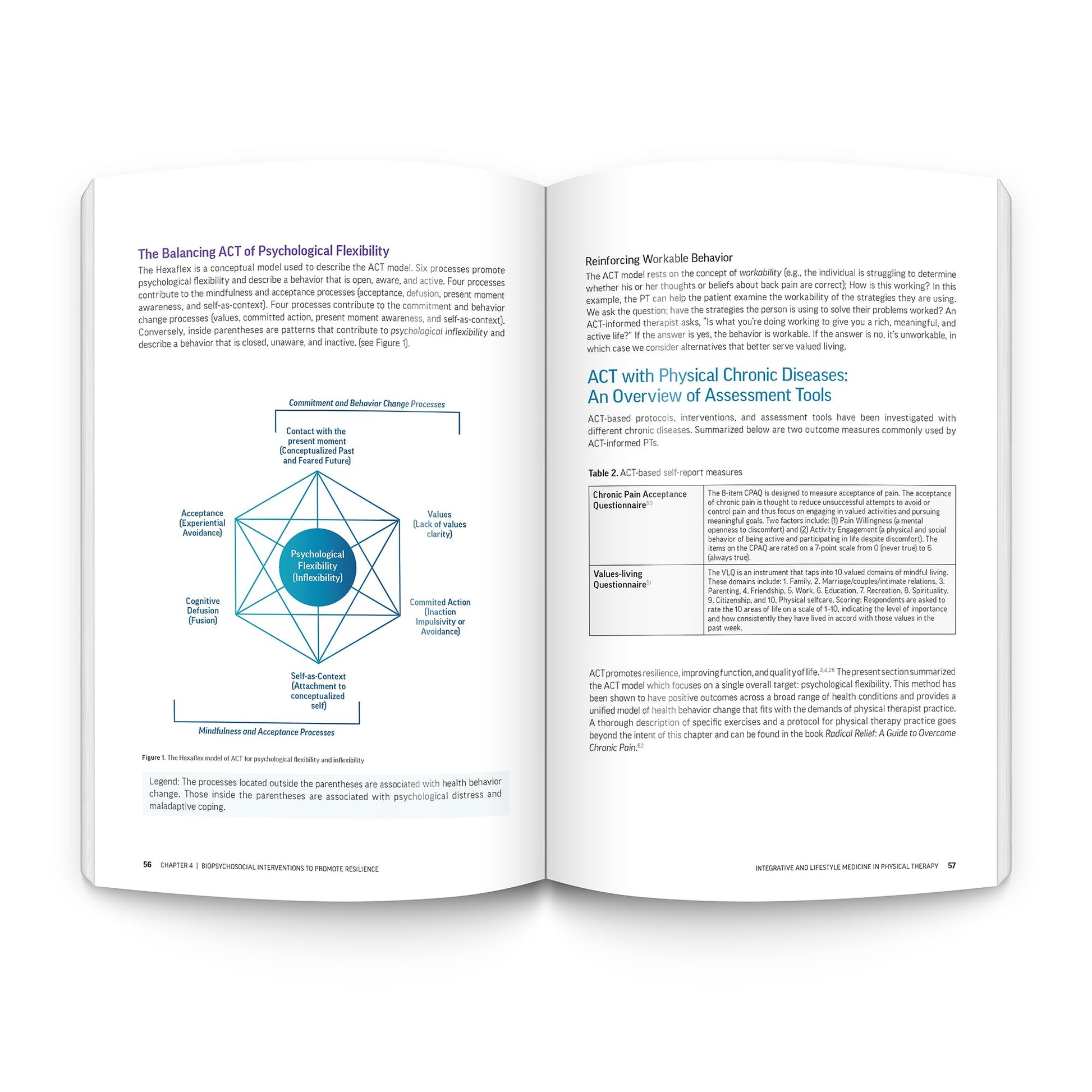 Integrative and Lifestyle Medicine in Physical Therapy: A guide for primary care, health promotion, and disease prevention