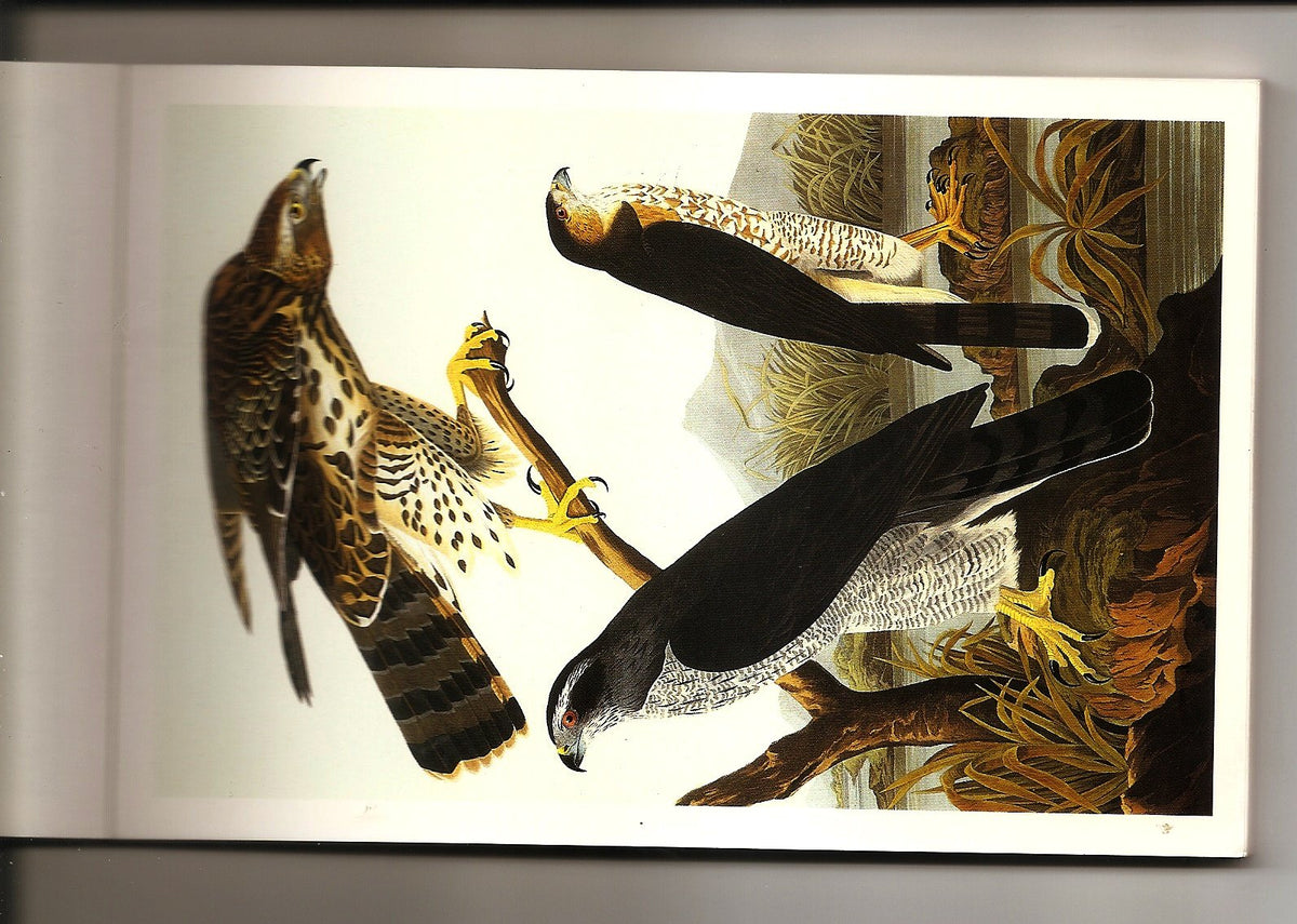 Audubon Postcards