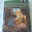 ECCE Romani 2: A Latin Reading Program (Latin Edition)