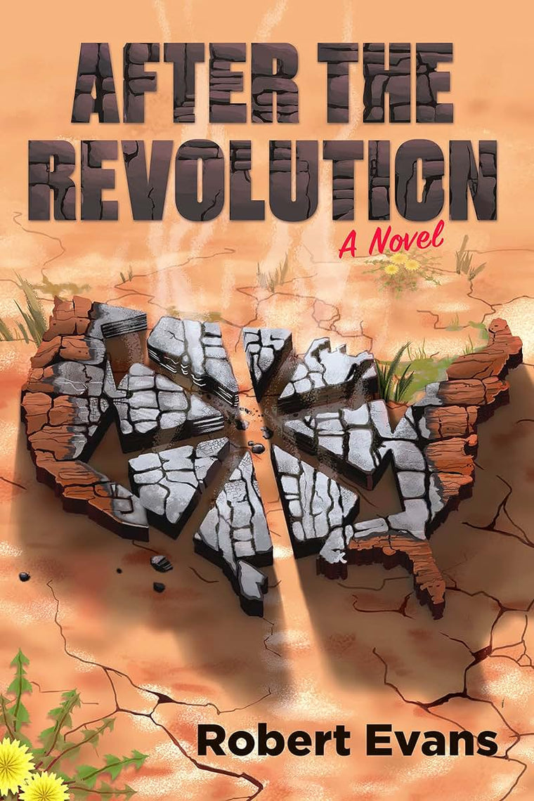 After the Revolution: A Novel