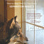 Don't Leave Me! Step-by-Step Help for Your Dog's Separation Anxiety