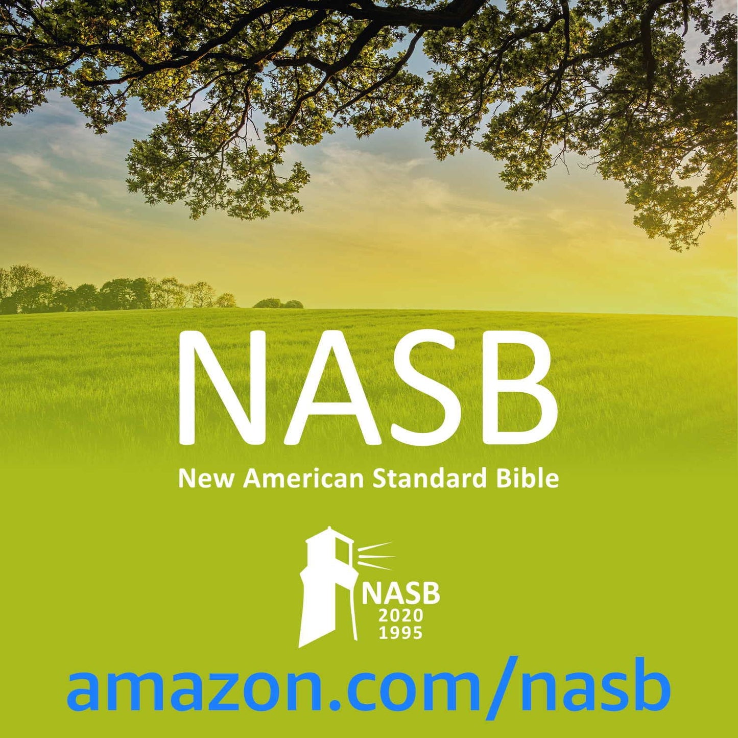 NASB Large Print Compact Bible, Dark Brown, Leathertex, 1995 text