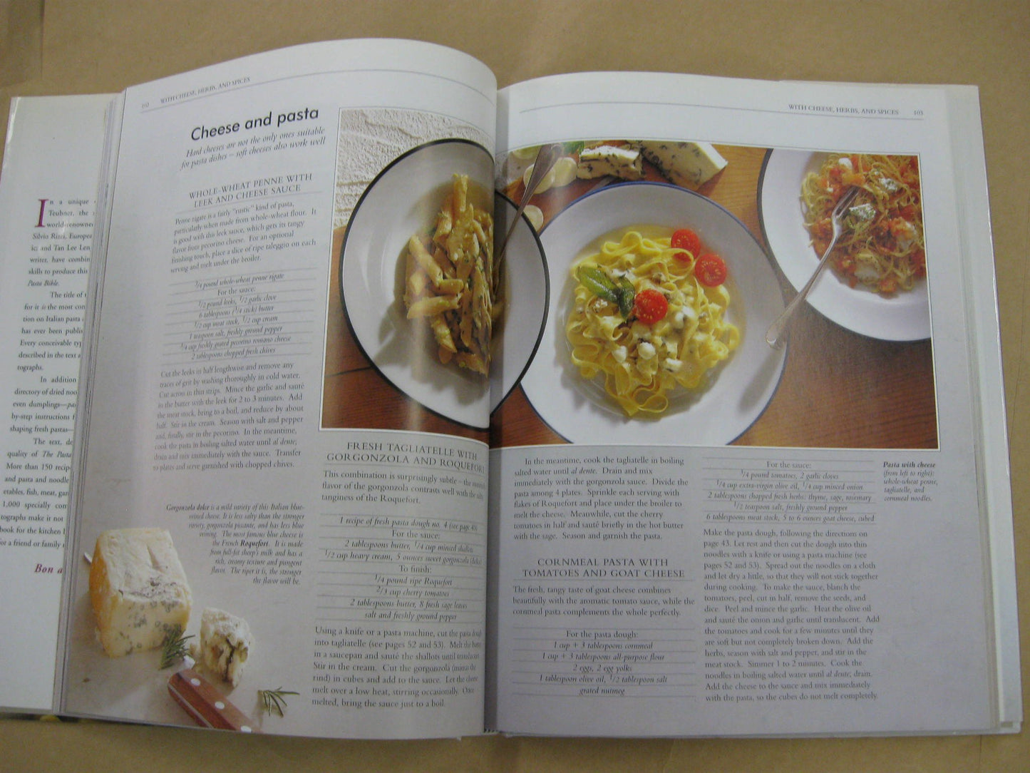 The Pasta Bible: The Definitive Sourcebook, With Over 1,000 Illustrations