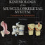 Kinesiology of the Musculoskeletal System