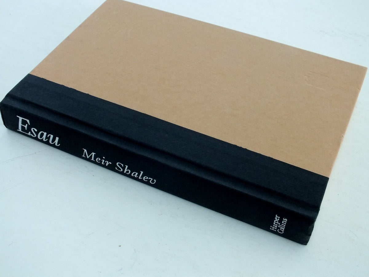 Esau: A Novel