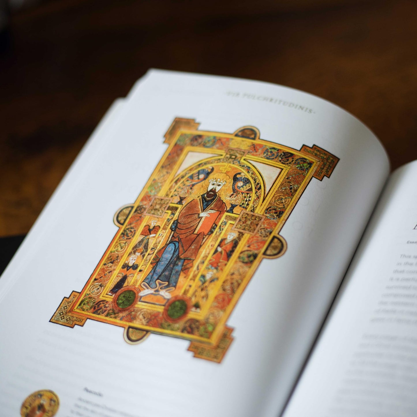 The Word on Fire Bible (Volume V): Exile and Return (Hardcover) (Word on Fire Bible Series)