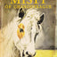 Misty of Chincoteague