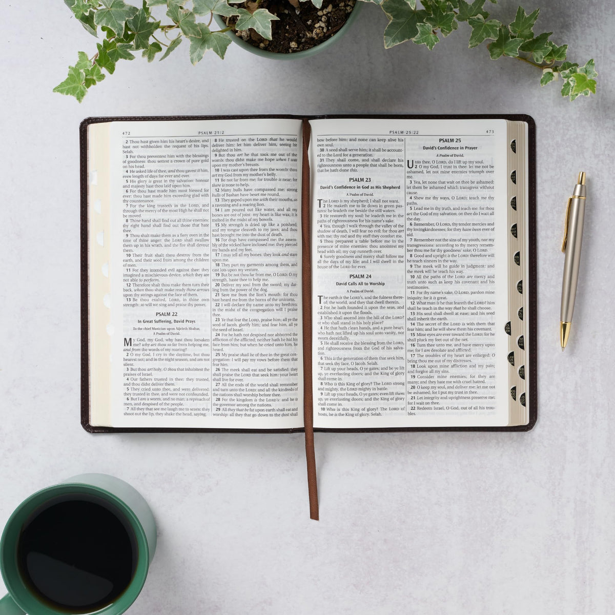 KJV Holy Bible, Thinline Large Print Faux Leather Red Letter Edition Thumb Index & Ribbon Marker, King James Version, Dark Brown (KJV Thinline LP Editions)