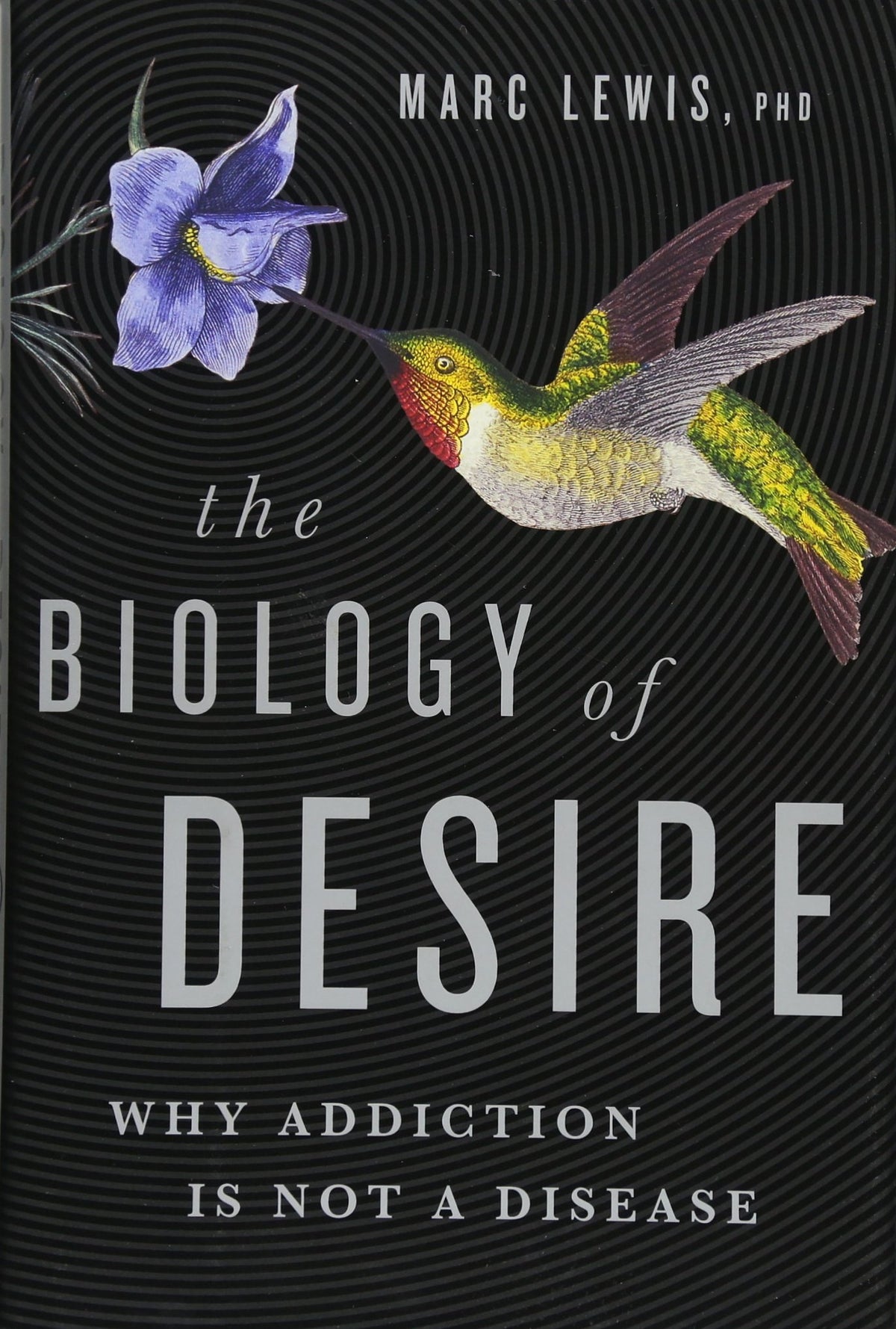 The Biology of Desire: Why Addiction Is Not a Disease