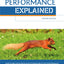 SQL Performance Explained Everything Developers Need to Know about SQL Performance
