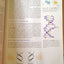 Molecular Biology of the Gene, Sixth Edition