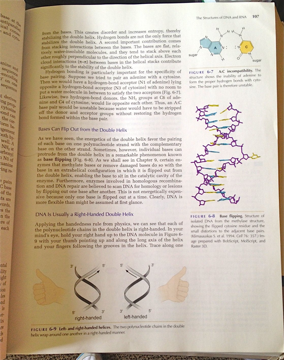 Molecular Biology of the Gene, Sixth Edition