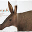 Life-Size Zoo: From Tiny Rodents to Gigantic Elephants, An Actual-Size Animal Encyclopedia