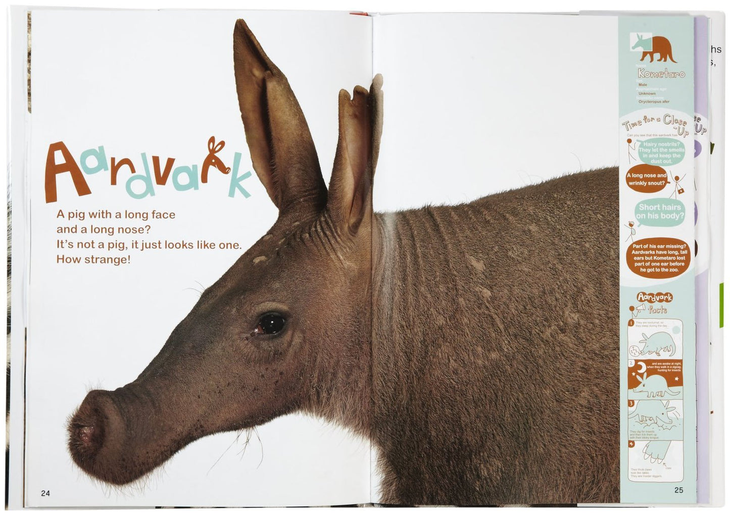 Life-Size Zoo: From Tiny Rodents to Gigantic Elephants, An Actual-Size Animal Encyclopedia