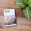 The Glory of Christ (Puritan Paperbacks)