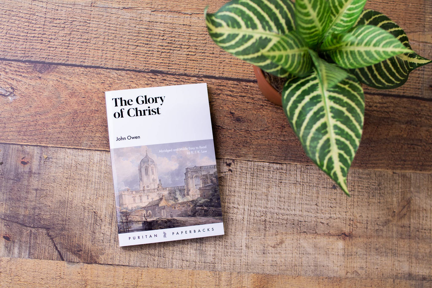 The Glory of Christ (Puritan Paperbacks)