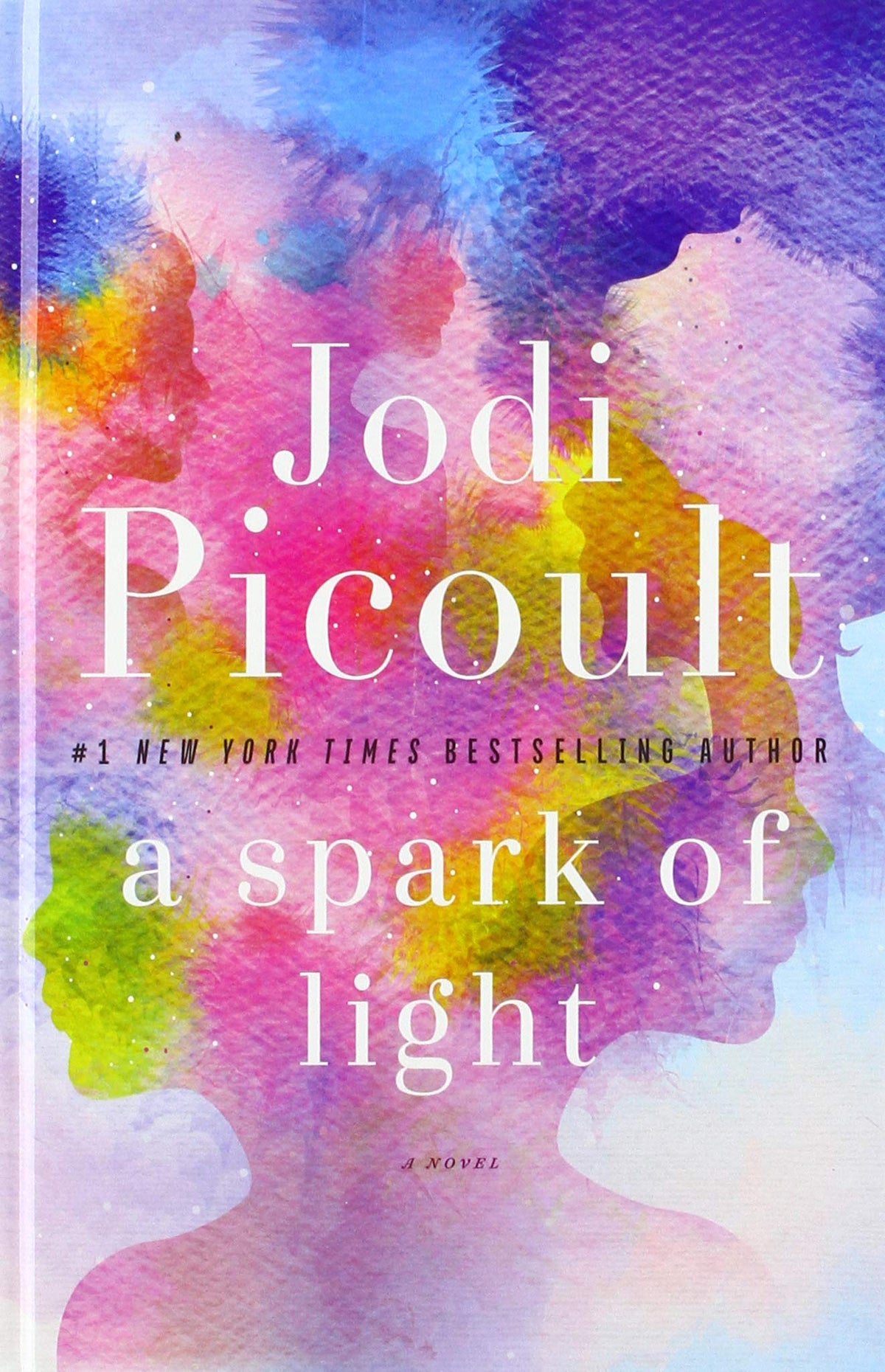 A Spark of Light (Thorndike Press Large Print Basic)