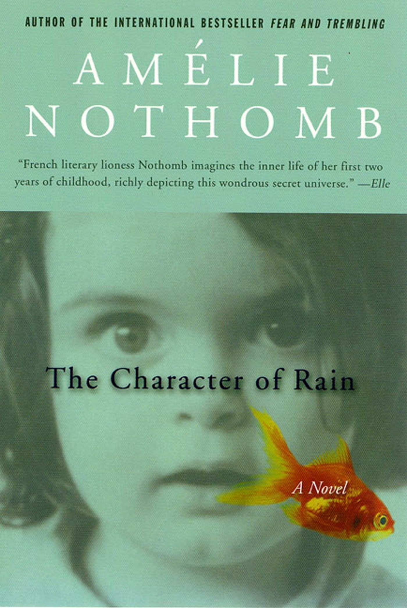 The Character of Rain: A Novel