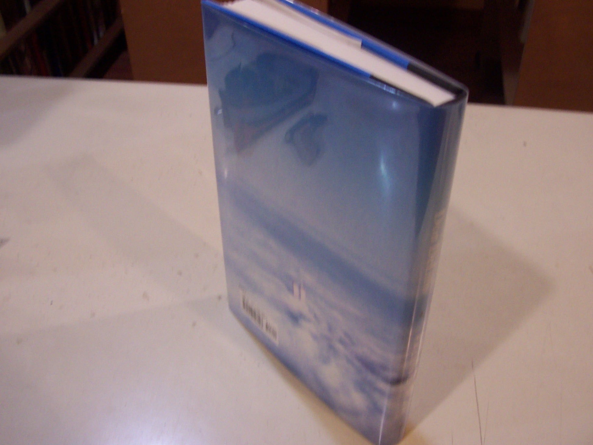 Falling Man: A Novel