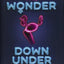 The Wonder Down Under: The Insider's Guide to the Anatomy, Biology, and Reality of the Vagina