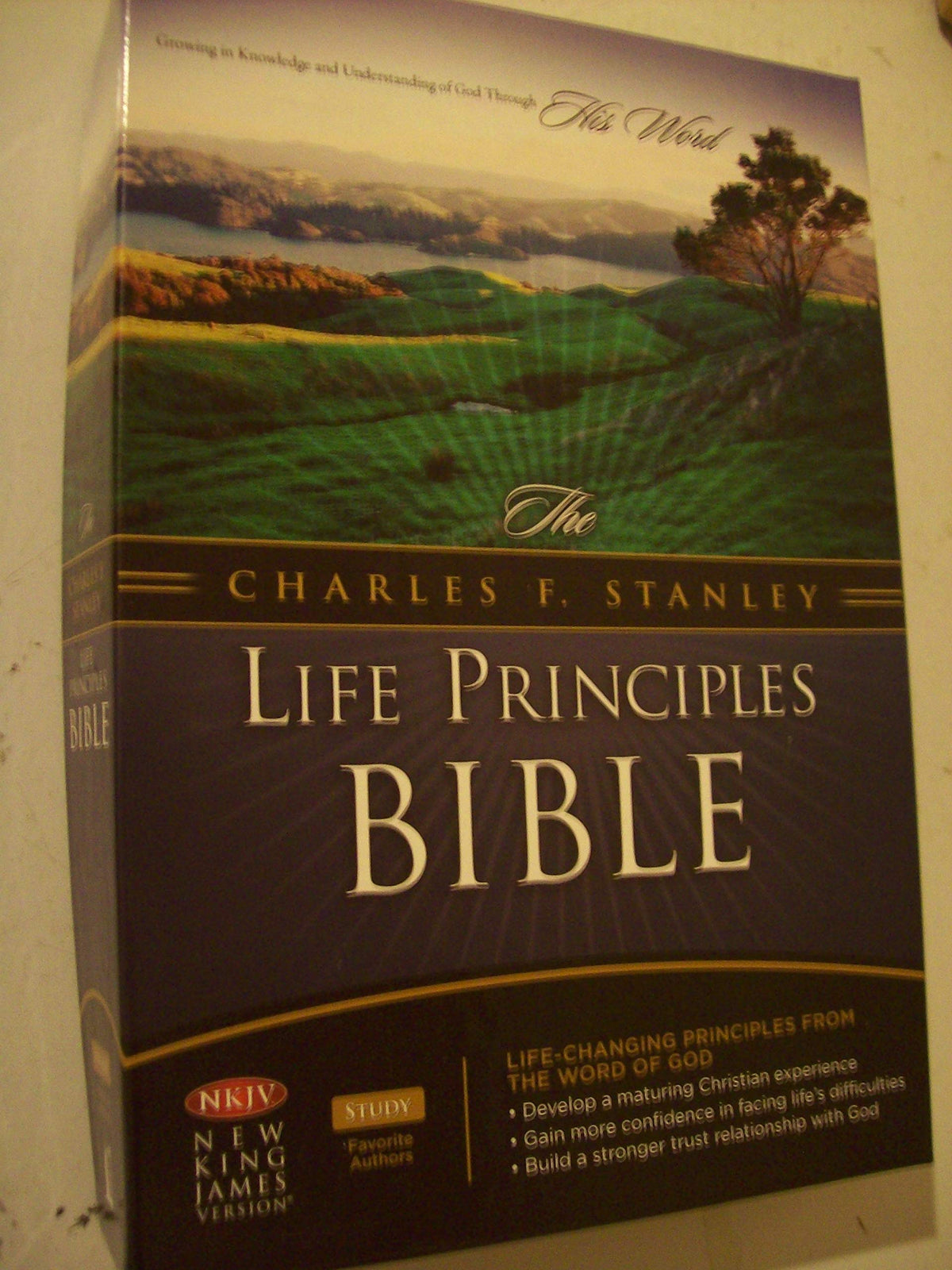The Charles F. Stanley Life Principles Bible (Black)
