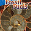 The Story of Fossil Fuels (Science Readers: Content and Literacy)