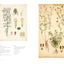 The Art of Botanical Painting: Iconic botanical wall charts from the golden age of scientific discovery