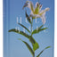 NRSV Catholic Edition Bible, Easter Lily Hardcover (Global Cover Series): Holy Bible