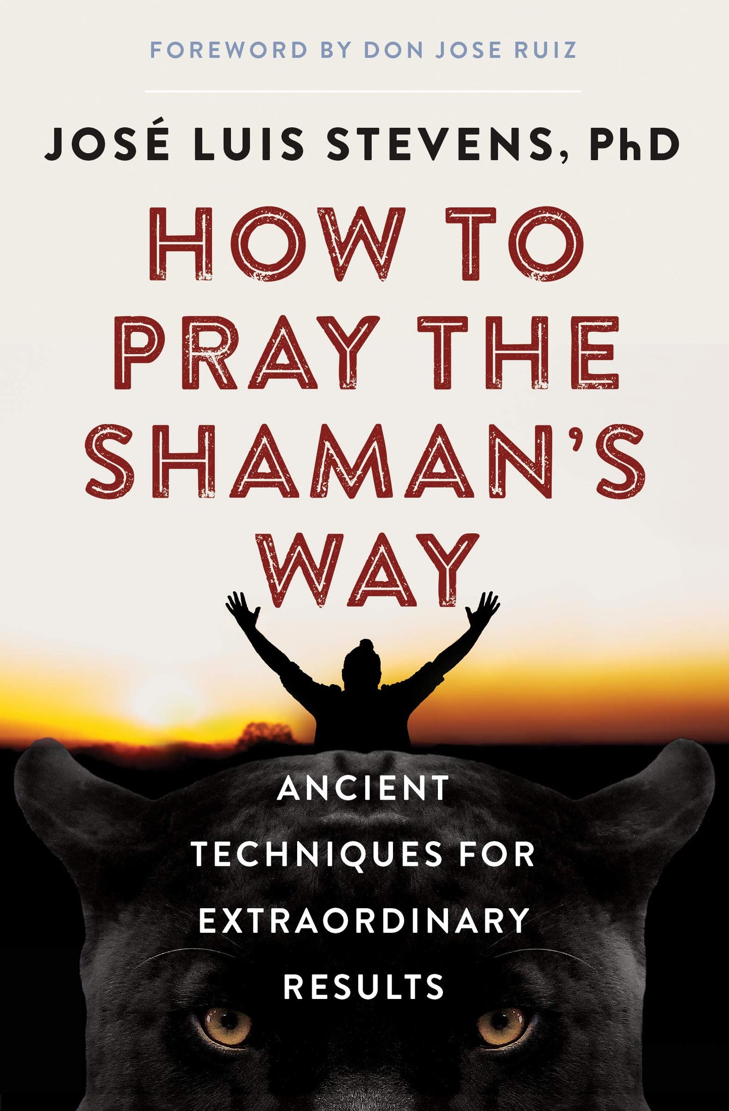 How to Pray the Shaman's Way: Ancient Techniques for Extraordinary Results (Power Path Series)